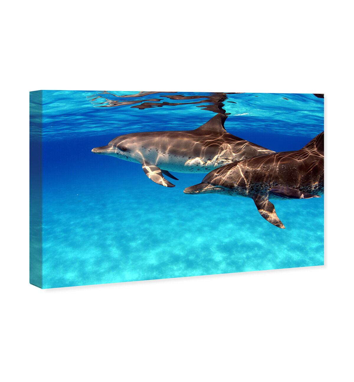54x36/Canvas/XHD