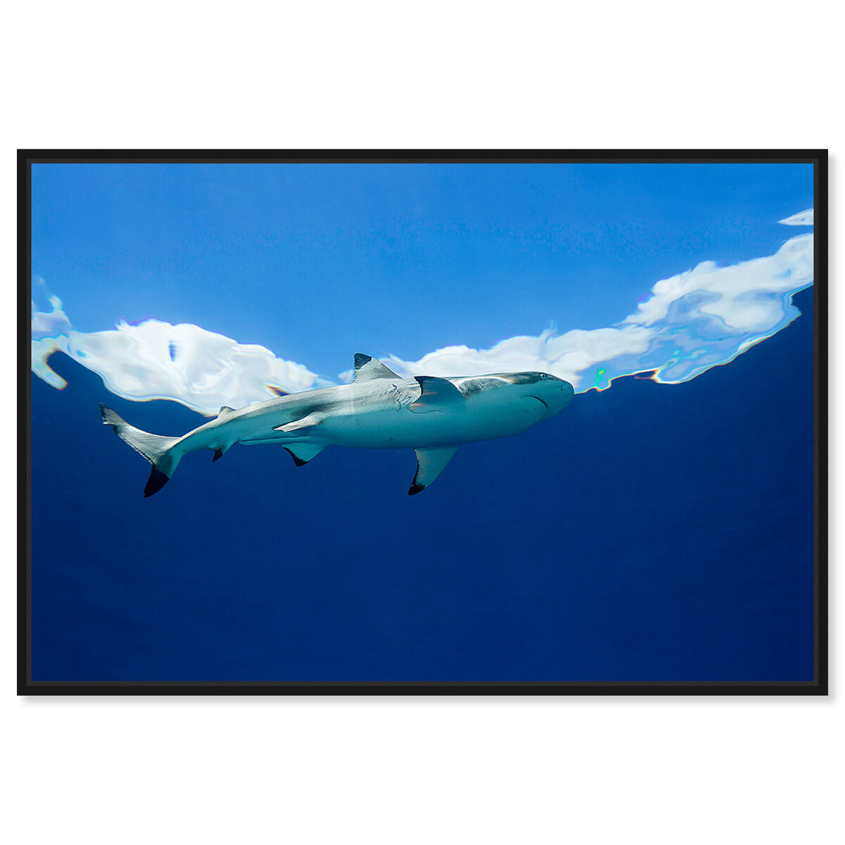 54x36/Framed Canvas/BFL