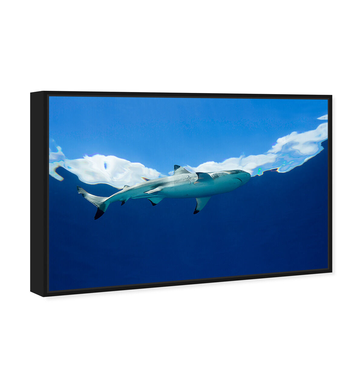 54x36/Framed Canvas/BFL