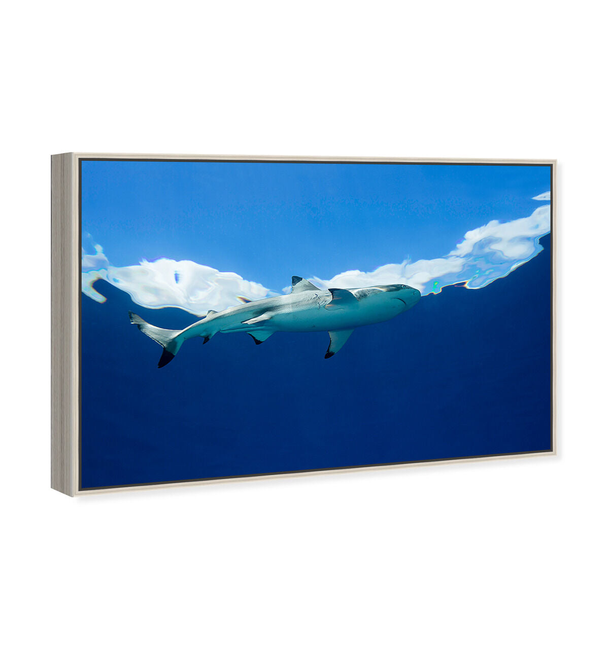 54x36/Framed Canvas/CFL