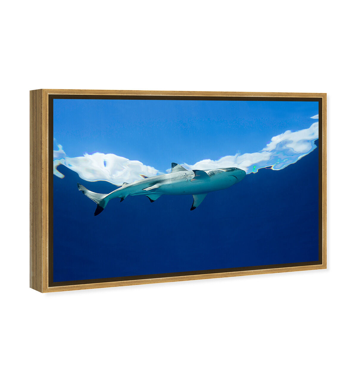 54x36/Framed Canvas/PSGLD