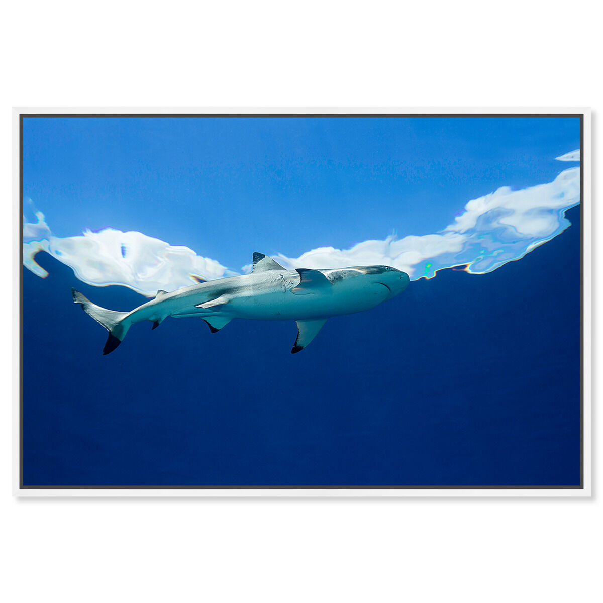 54x36/Framed Canvas/WFL