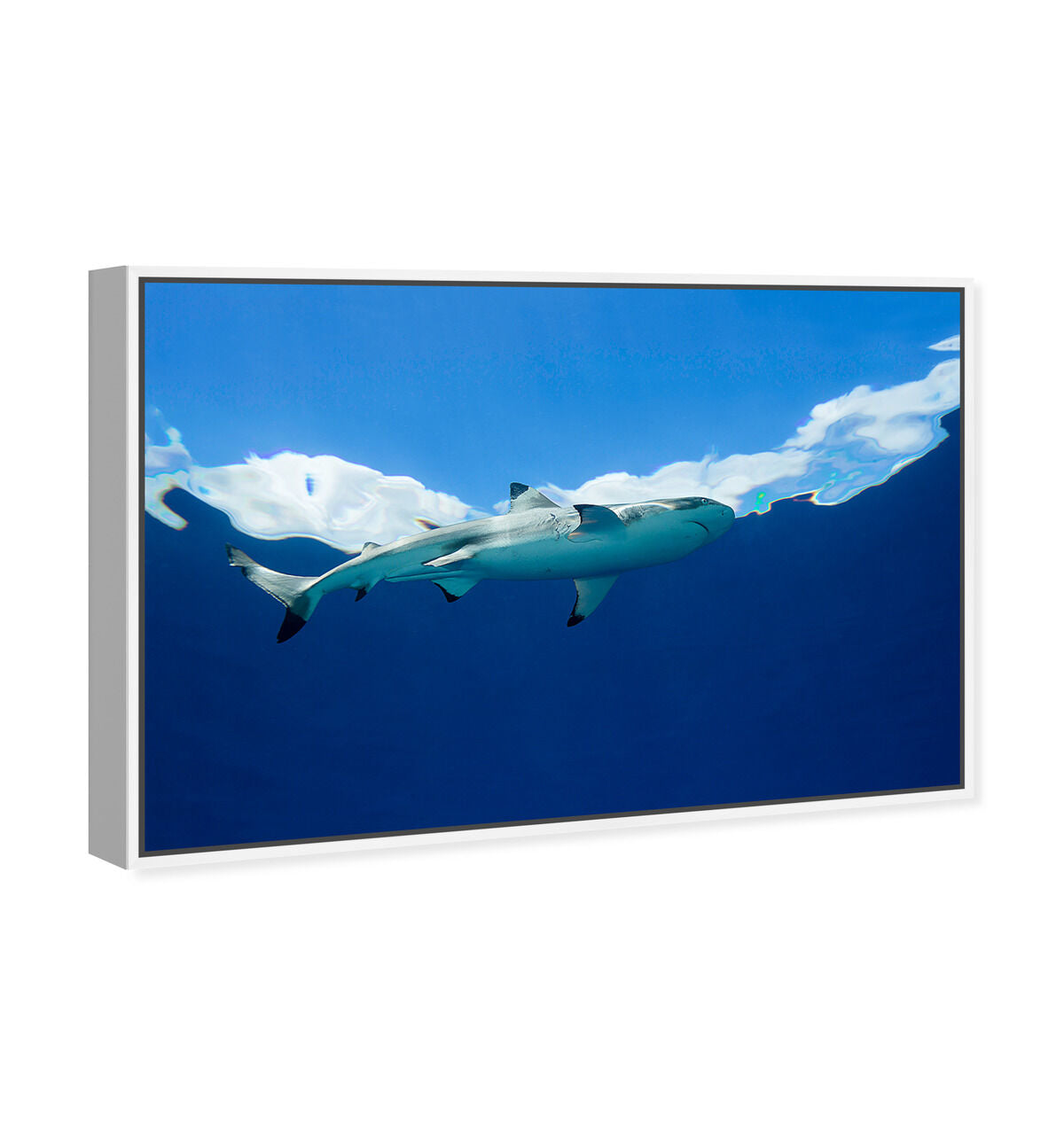 54x36/Framed Canvas/WFL