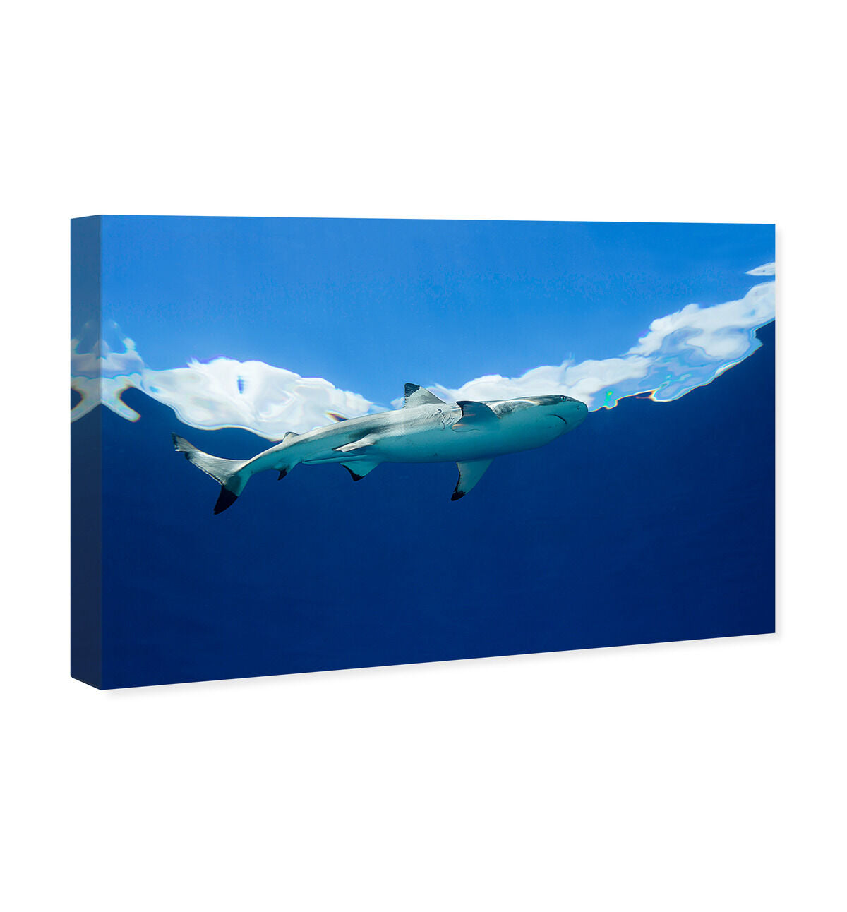 54x36/Canvas/XHD