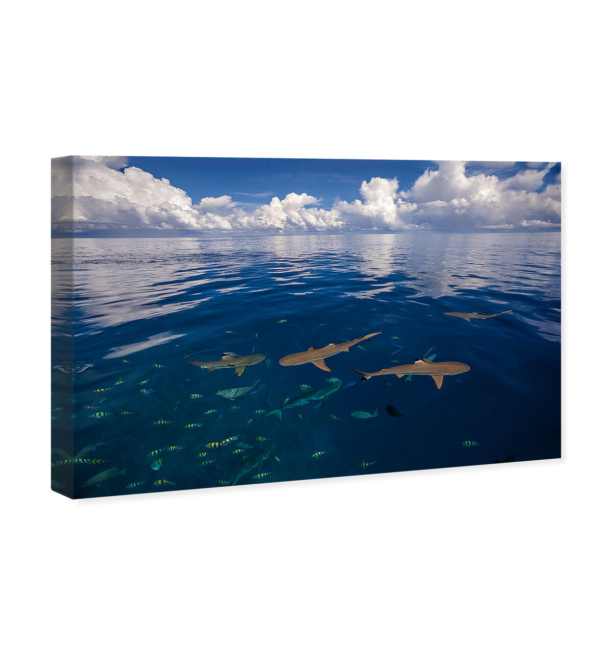 54x36/Canvas/XHD