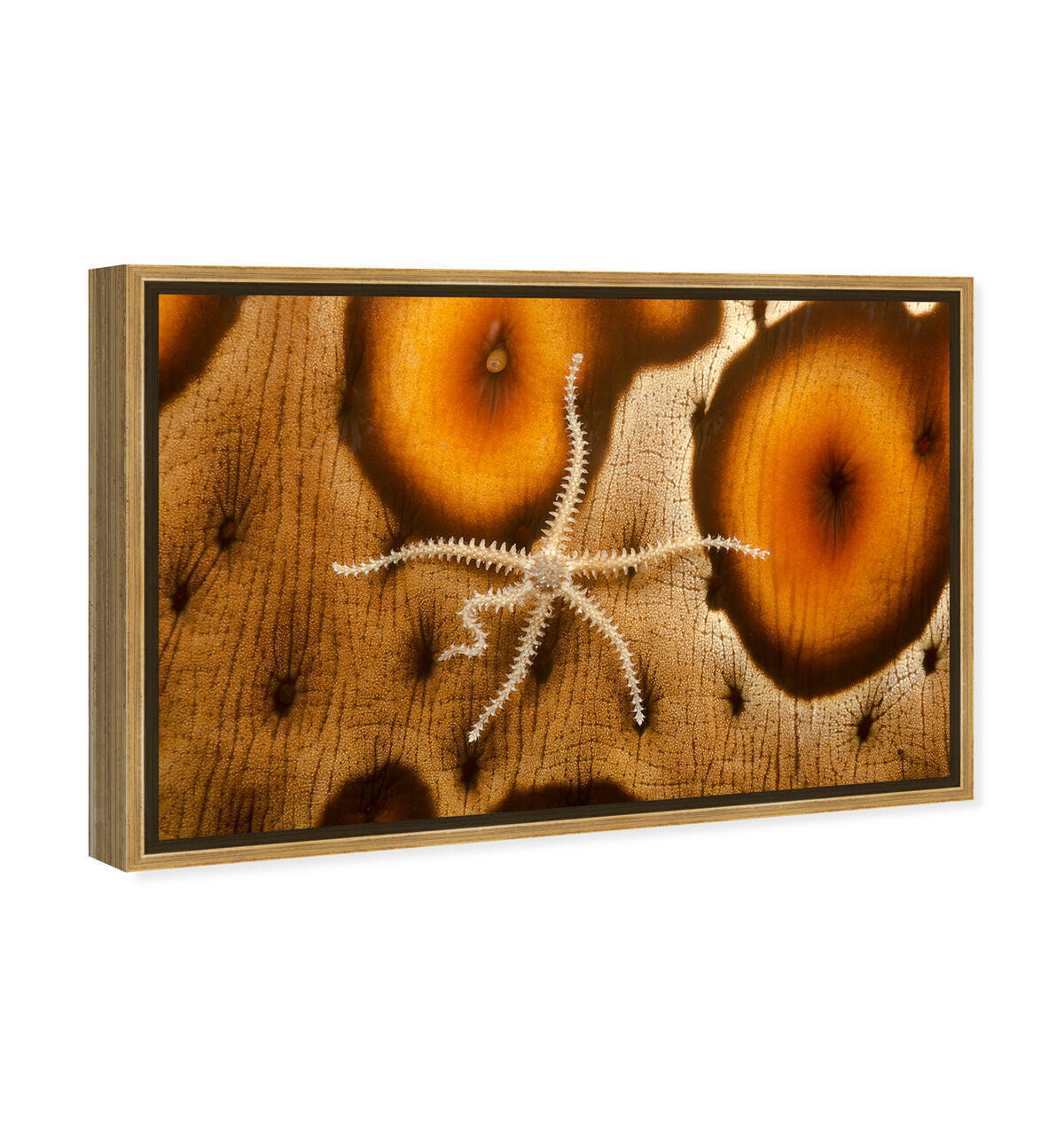 54x36/Framed Canvas/PSGLD