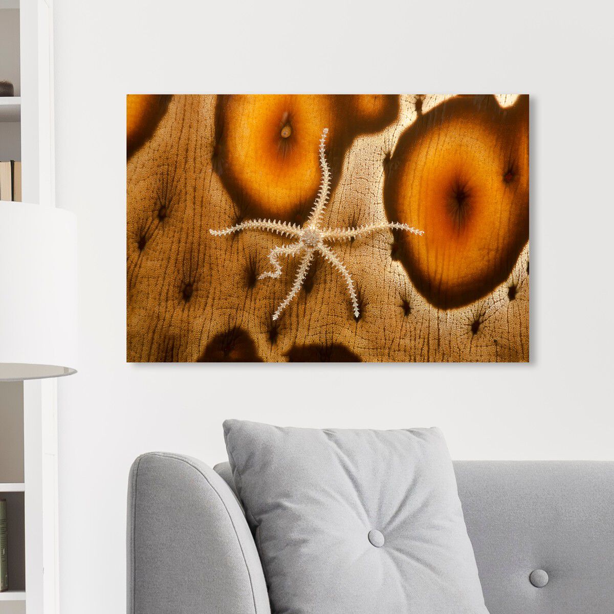 54x36/Canvas/XHD