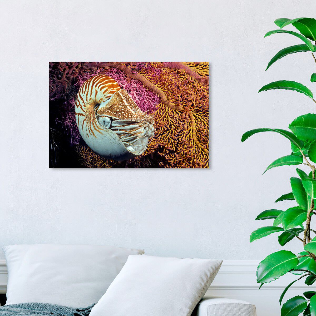 54x36/Canvas/XHD