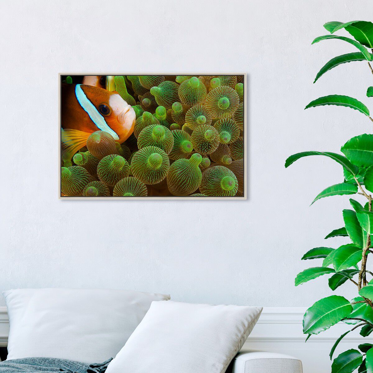54x36/Framed Canvas/CFL