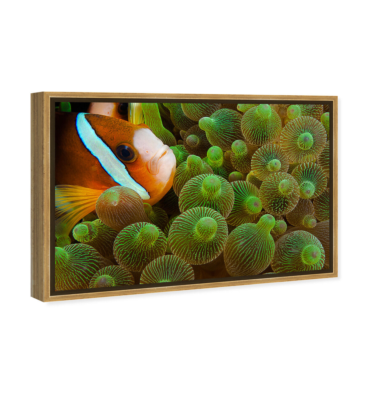 54x36/Framed Canvas/PSGLD