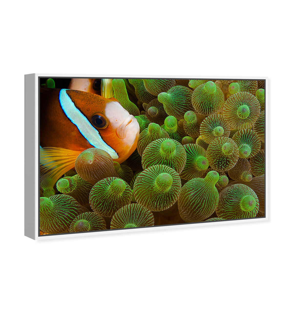 54x36/Framed Canvas/WFL