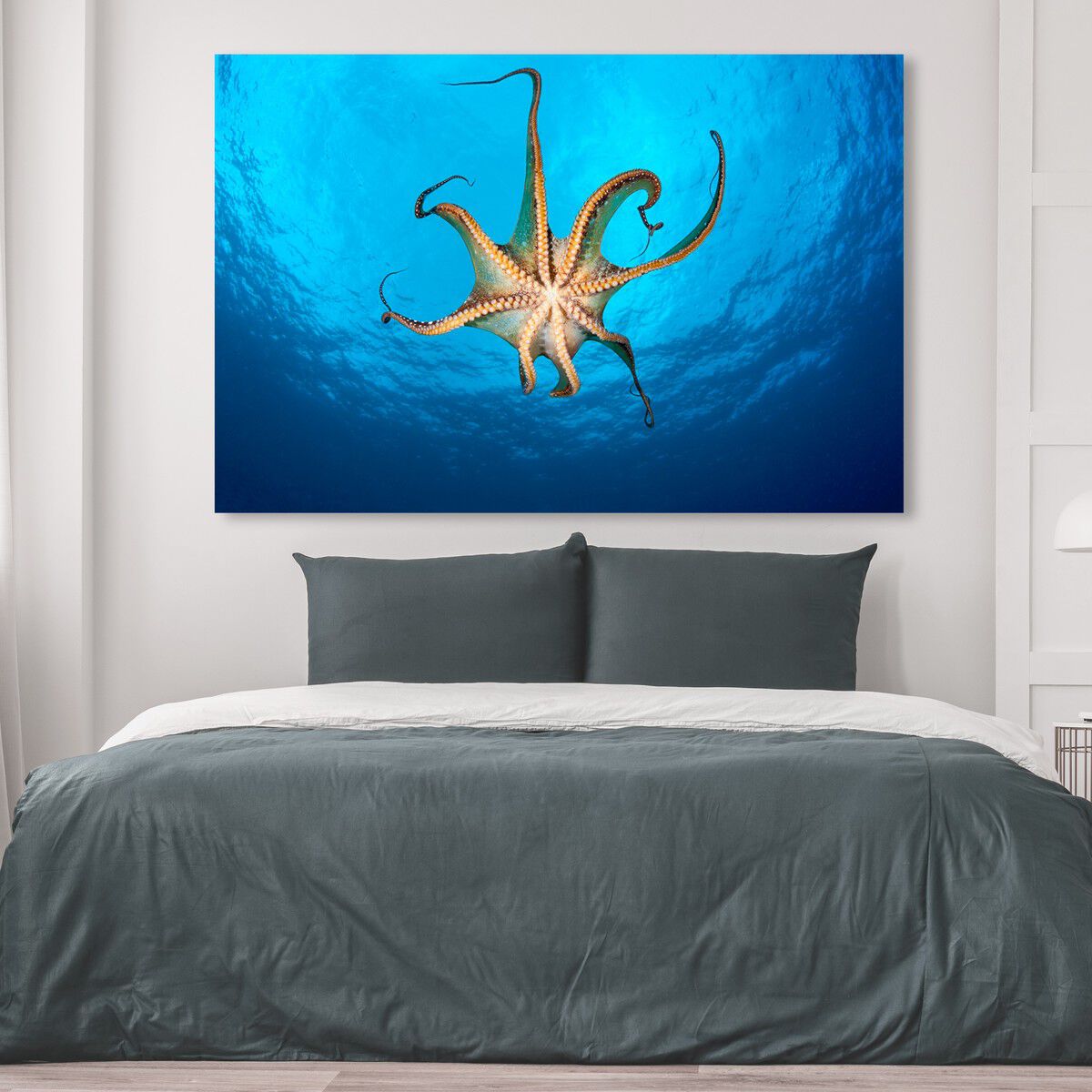 54x36/Canvas/XHD