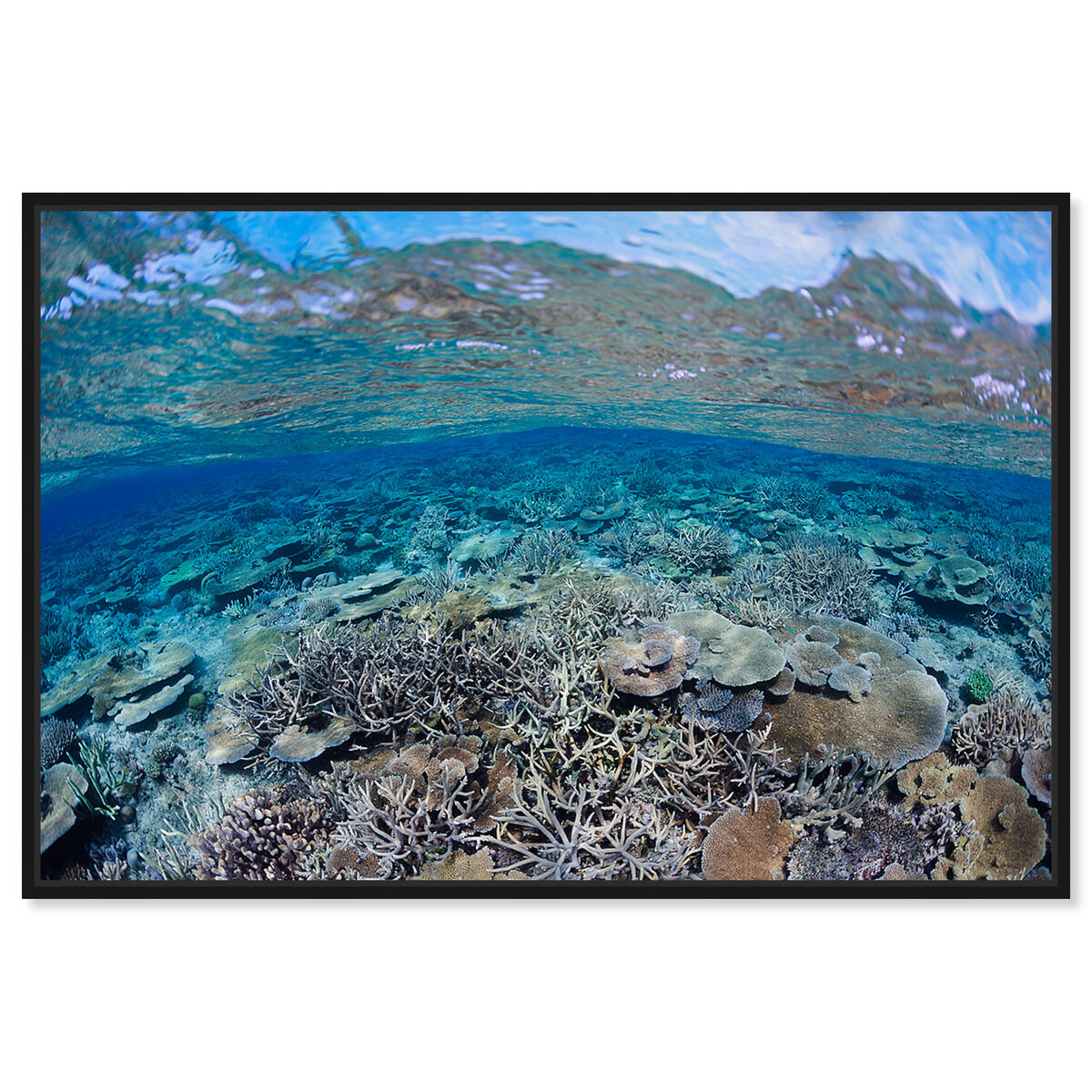 54x36/Framed Canvas/BFL