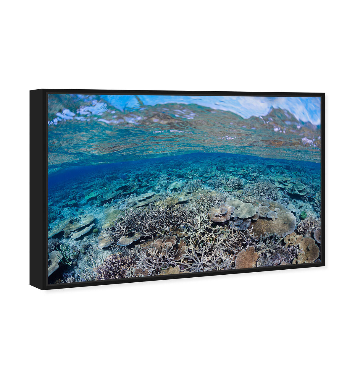 54x36/Framed Canvas/BFL