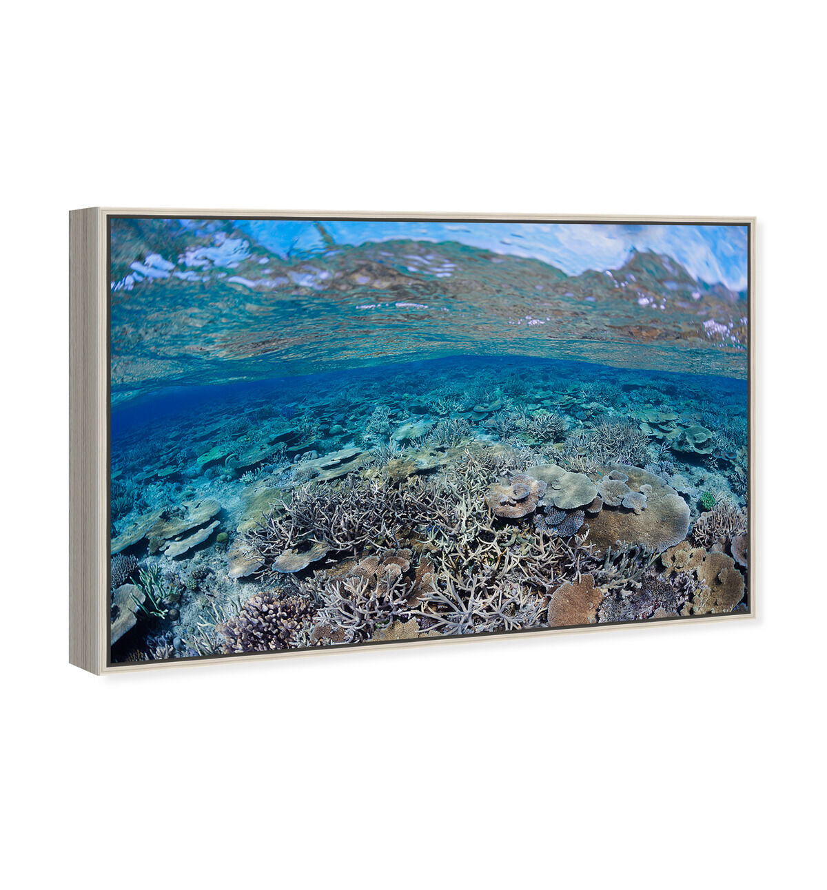 54x36/Framed Canvas/CFL