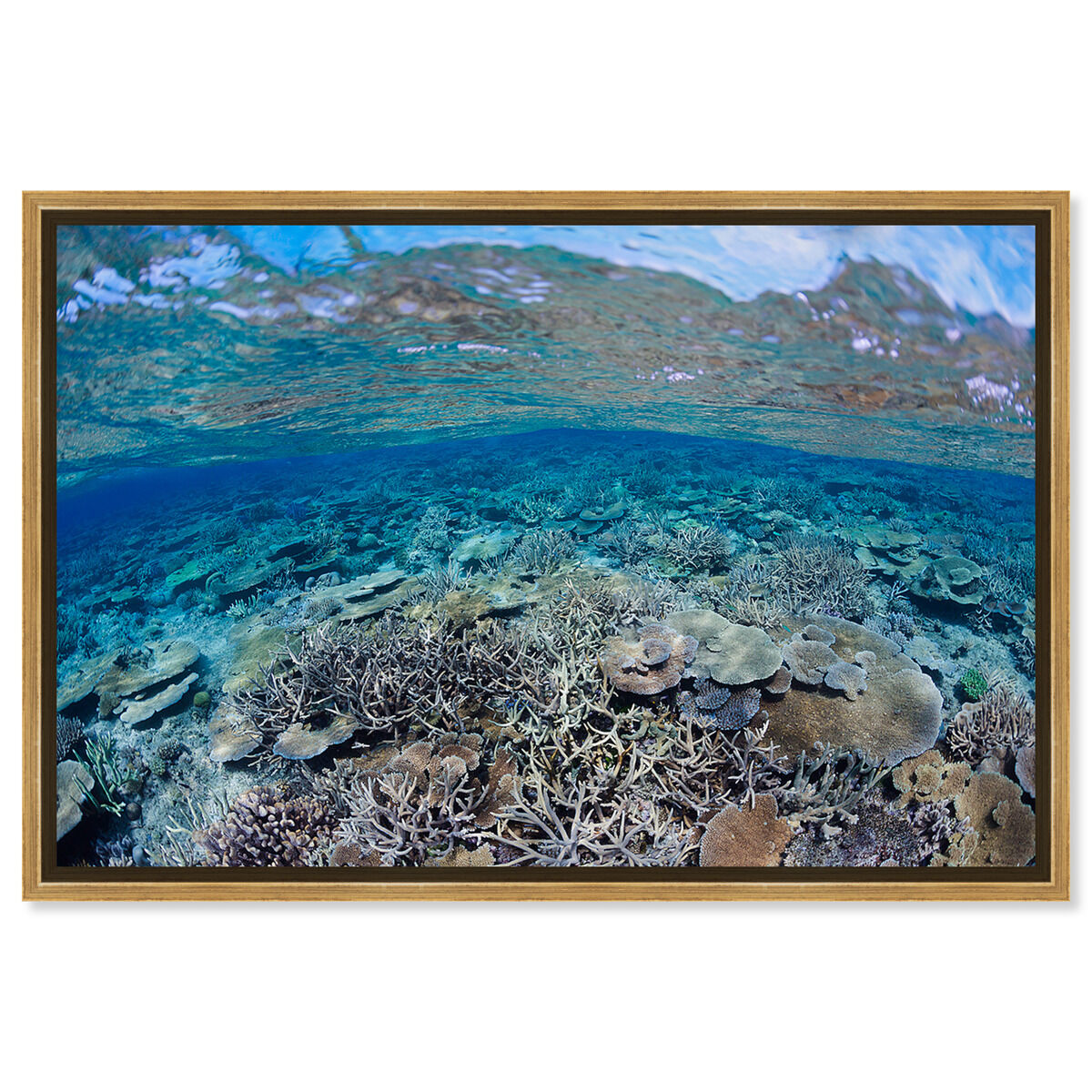 54x36/Framed Canvas/PSGLD