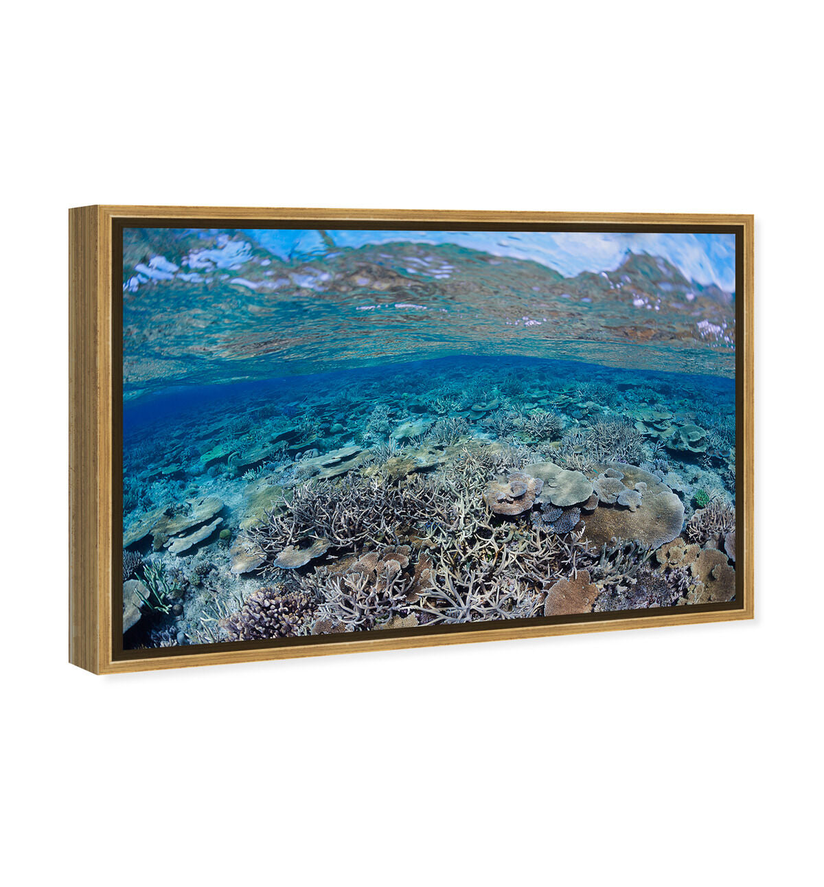 54x36/Framed Canvas/PSGLD