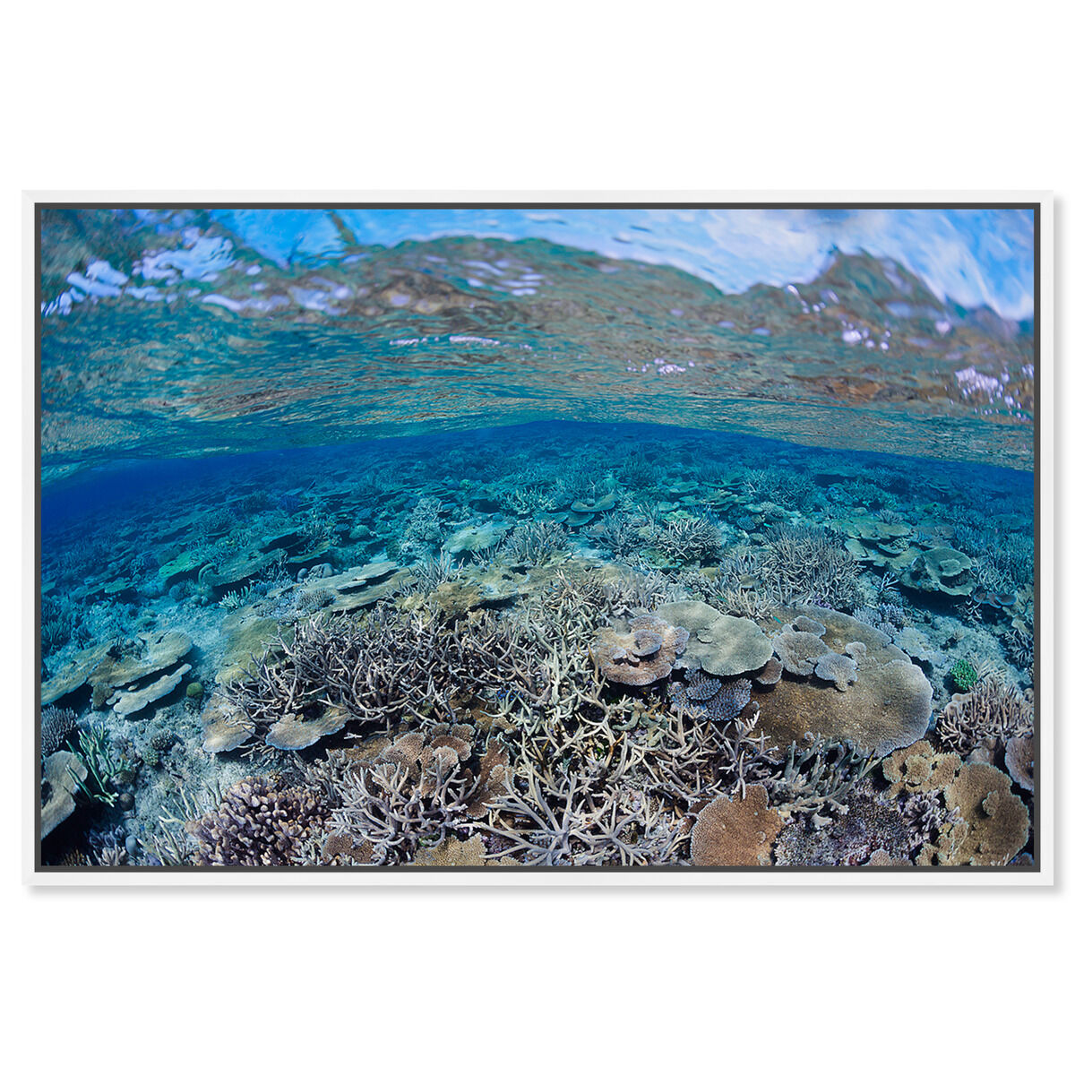 54x36/Framed Canvas/WFL