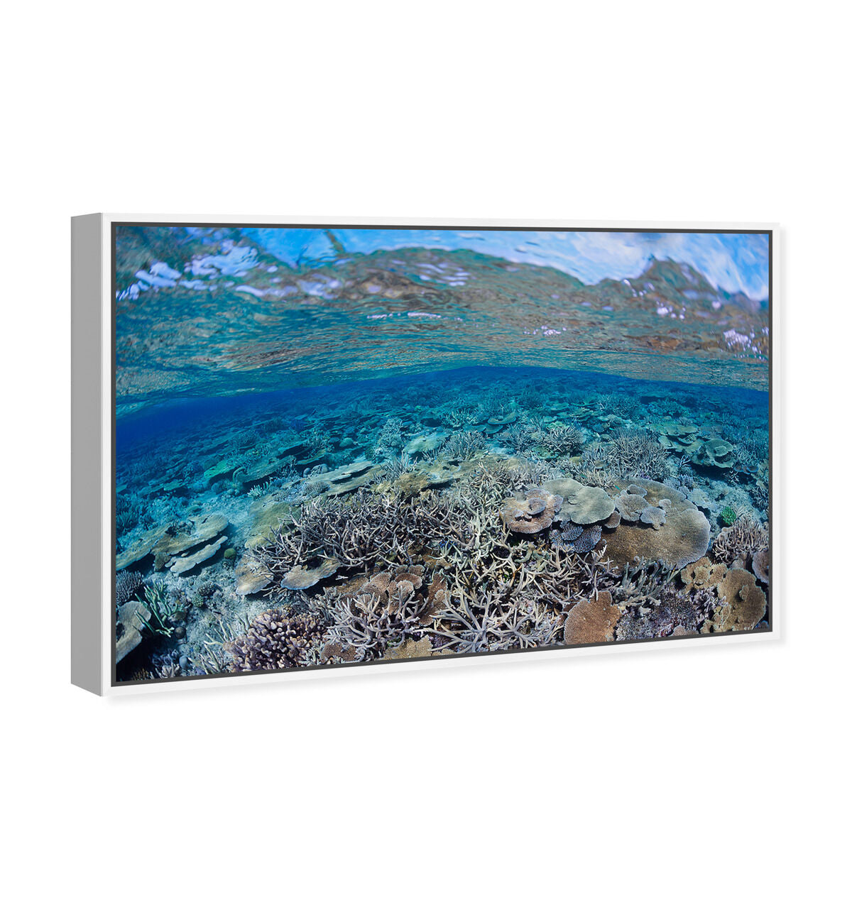 54x36/Framed Canvas/WFL