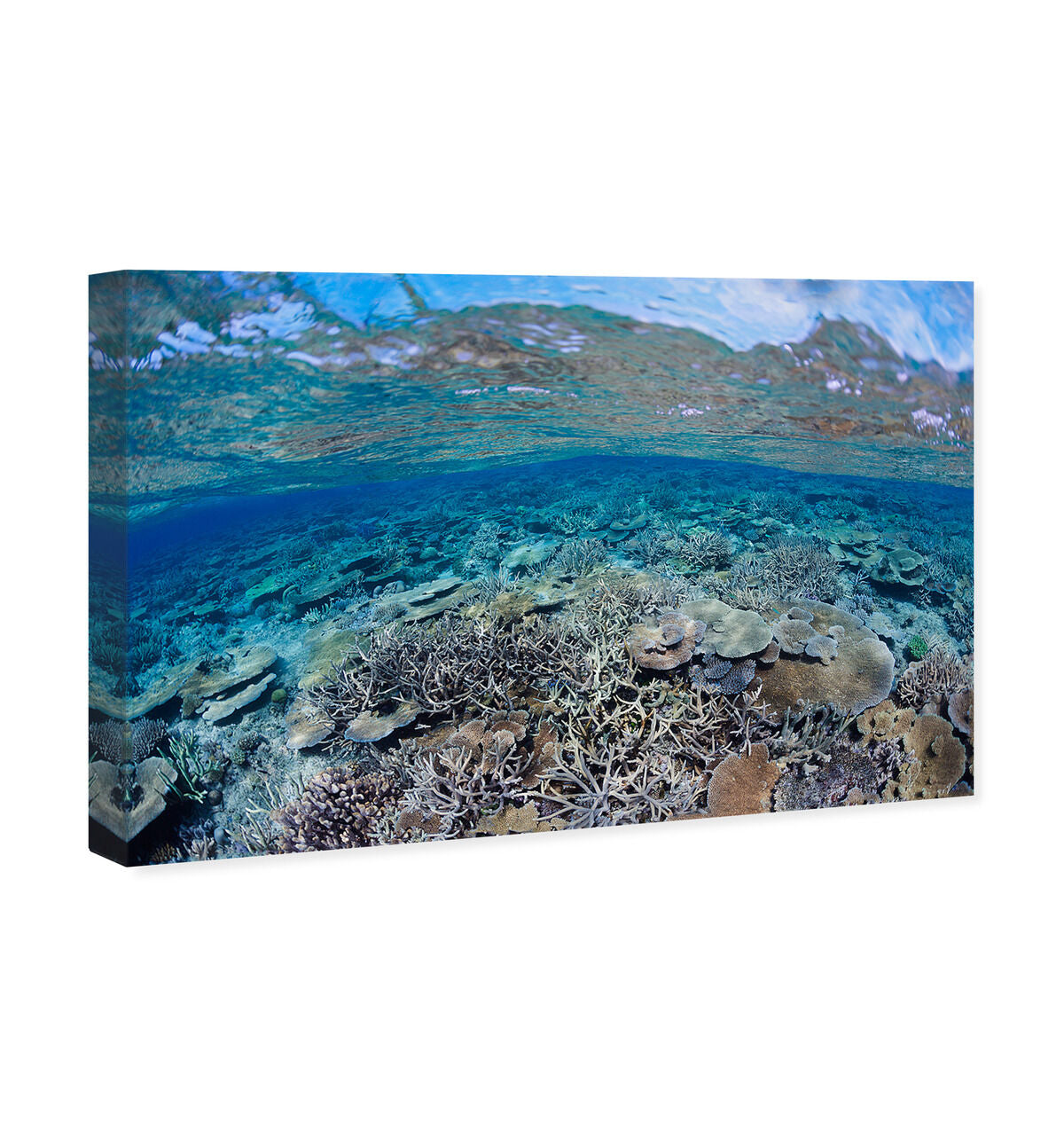 54x36/Canvas/XHD