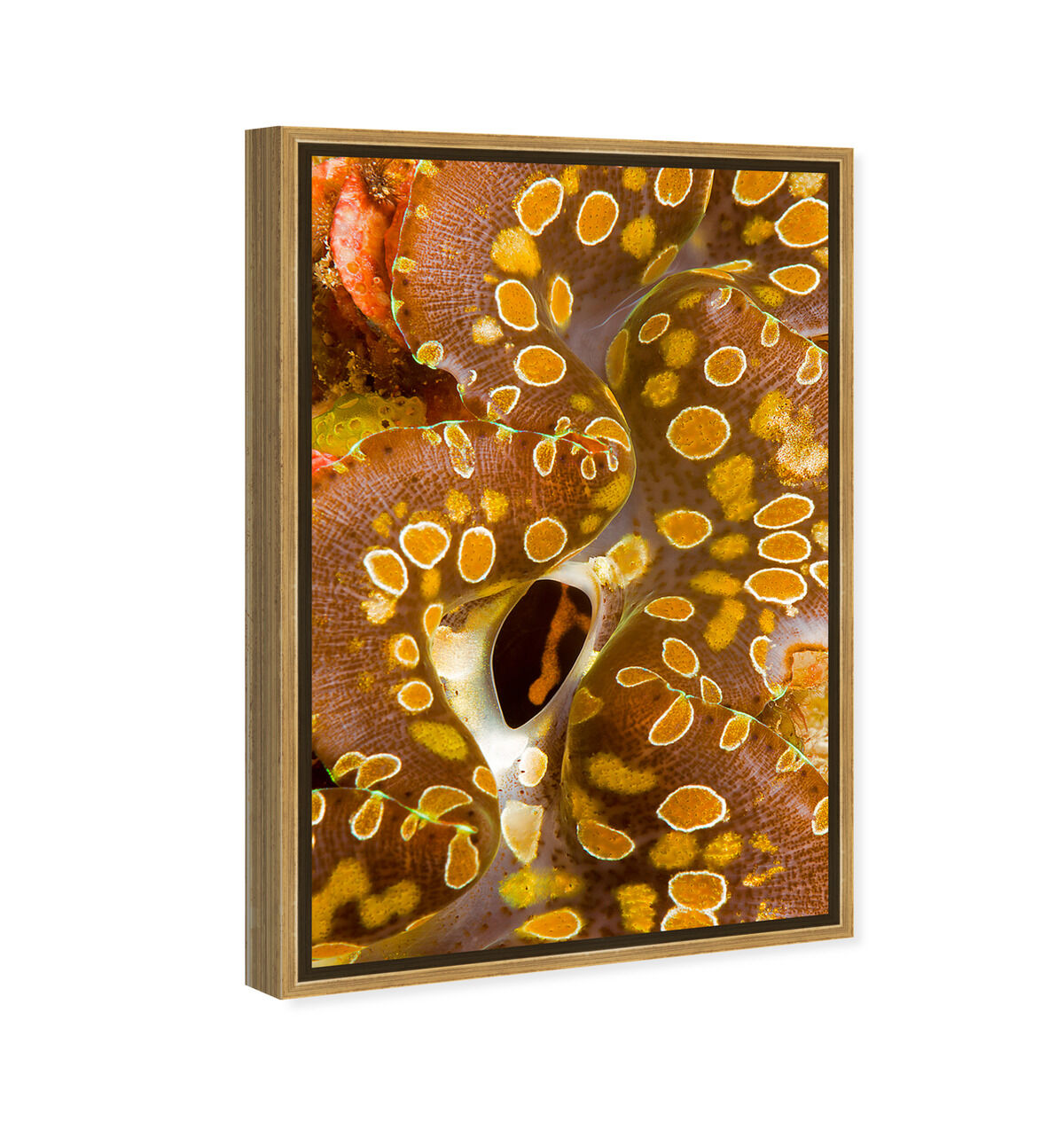 36x54/Framed Canvas/PSGLD