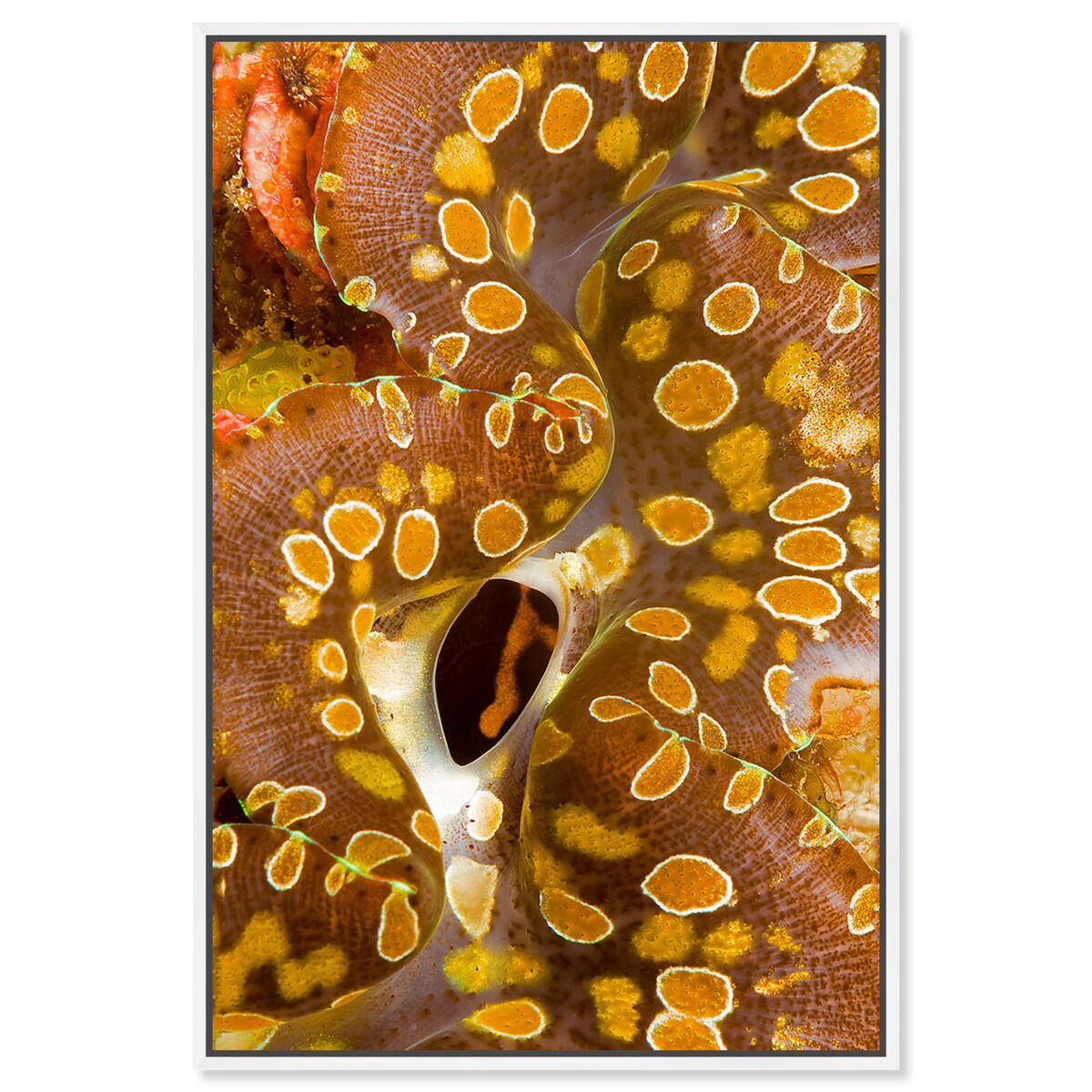 36x54/Framed Canvas/WFL