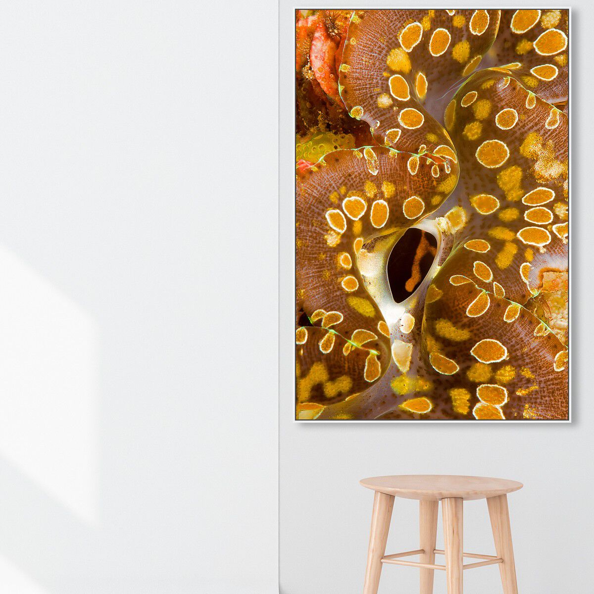 36x54/Framed Canvas/WFL
