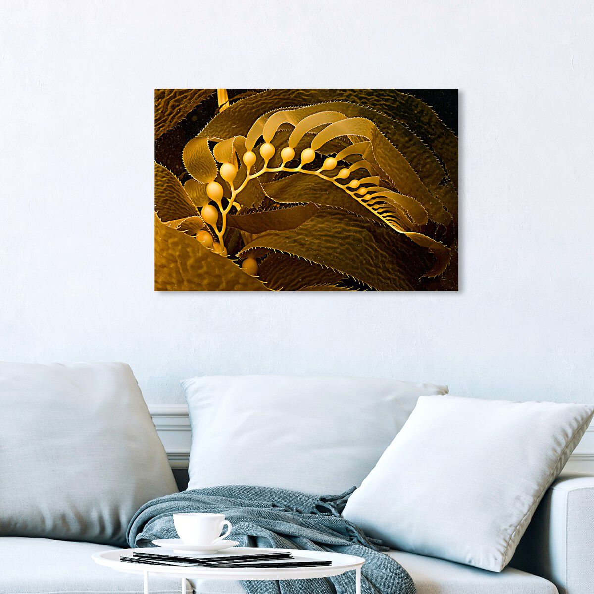 54x36/Canvas/XHD