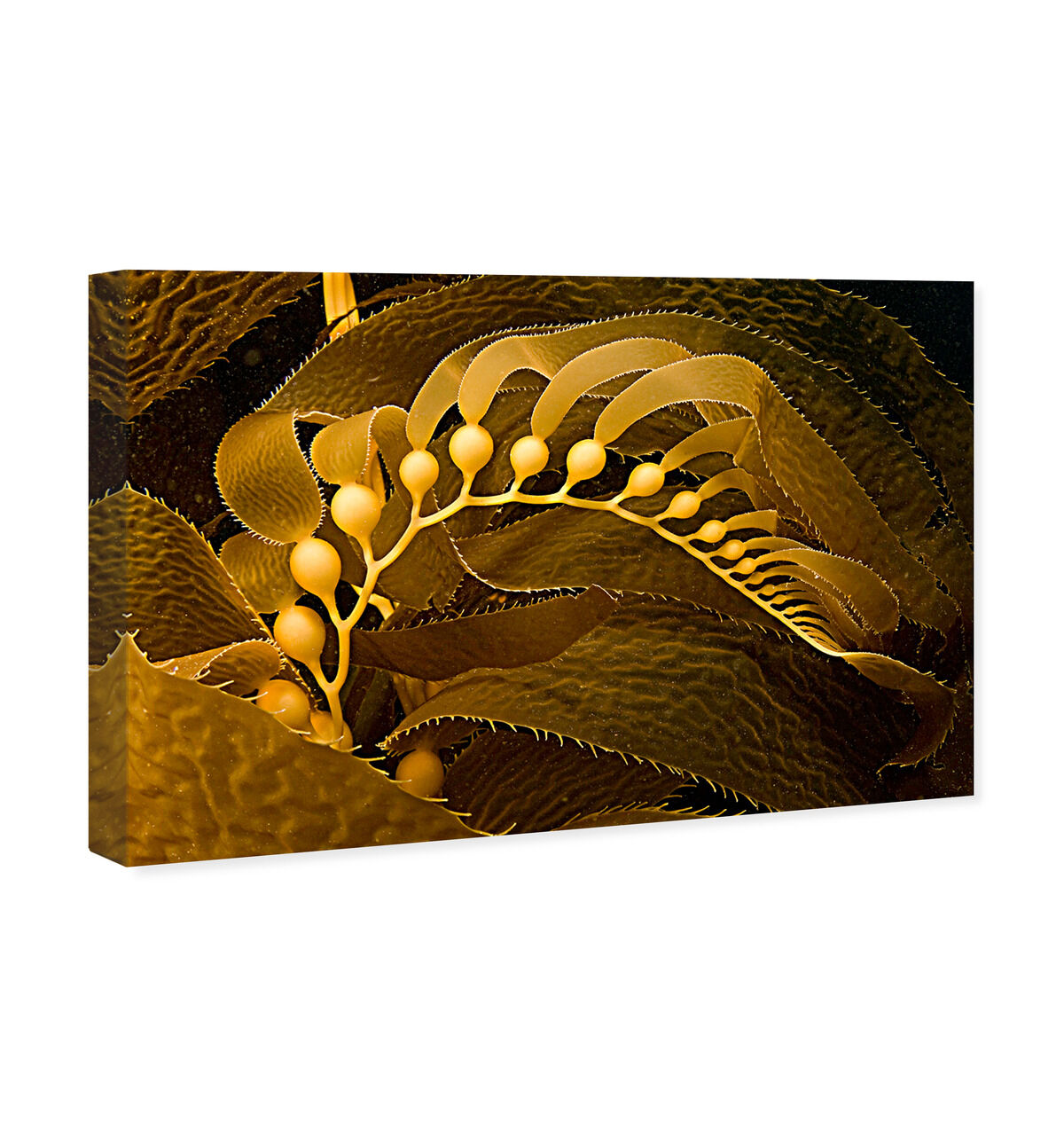 54x36/Canvas/XHD