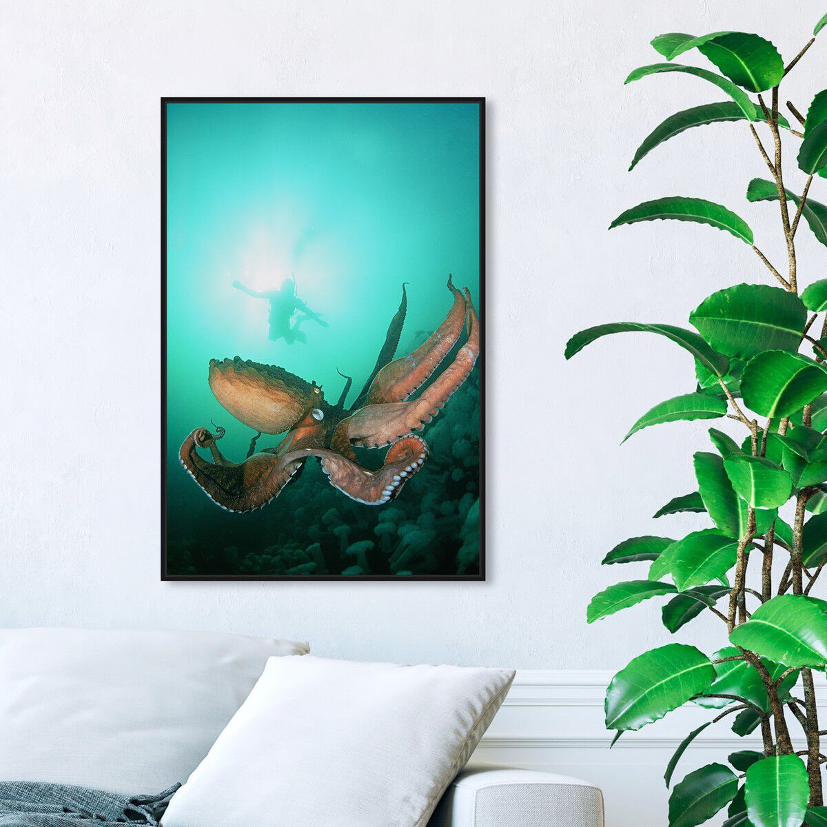 36x54/Framed Canvas/BFL