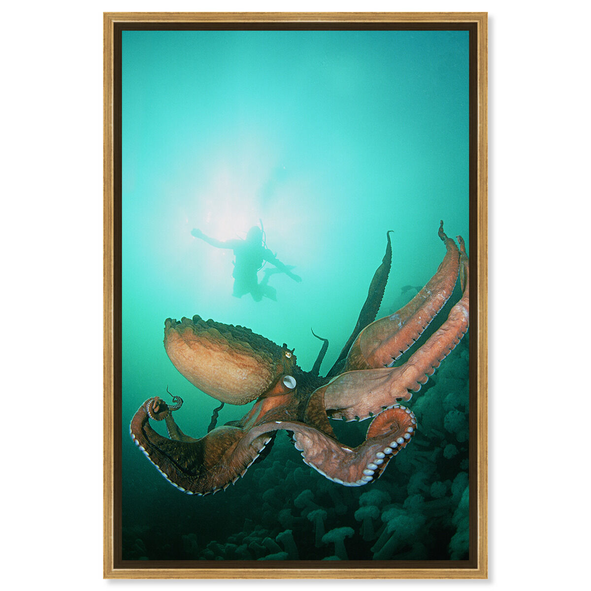 36x54/Framed Canvas/PSGLD