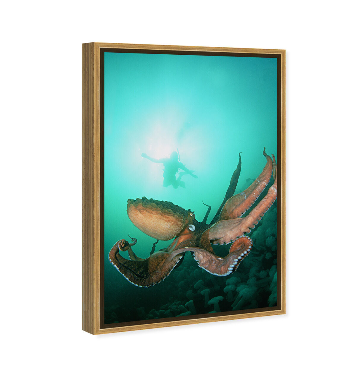 36x54/Framed Canvas/PSGLD