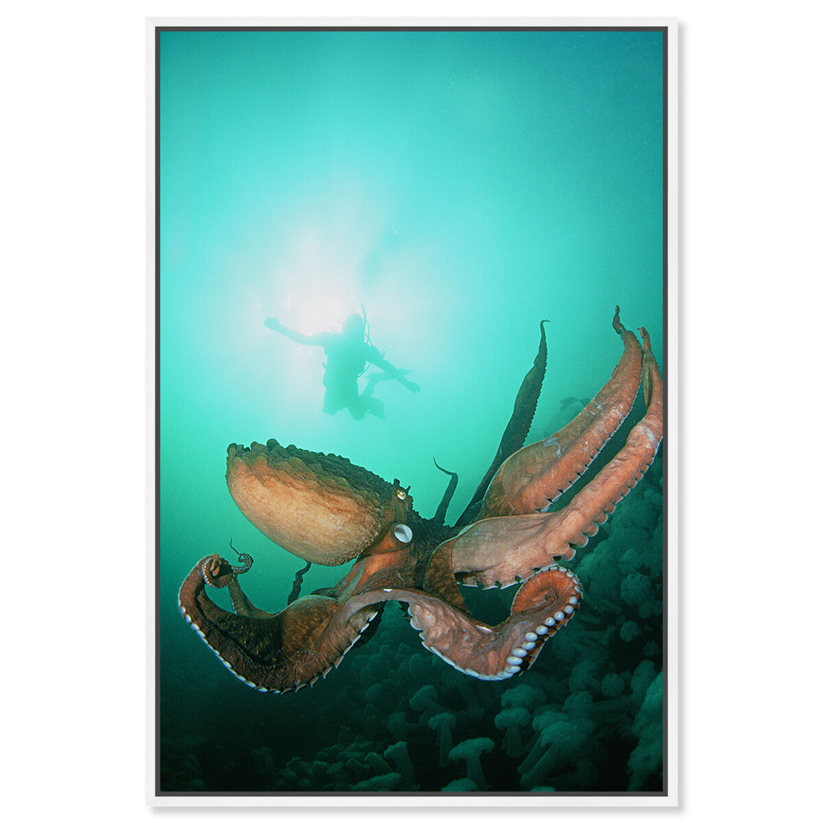 36x54/Framed Canvas/WFL
