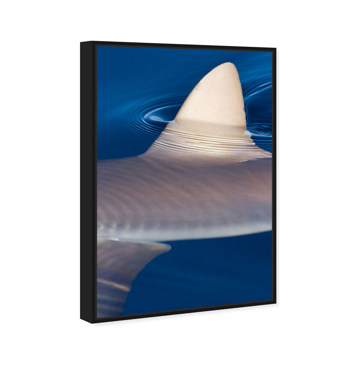 36x54/Framed Canvas/BFL