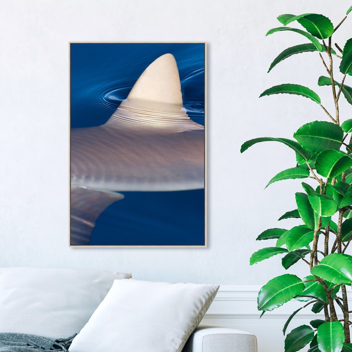 36x54/Framed Canvas/CFL