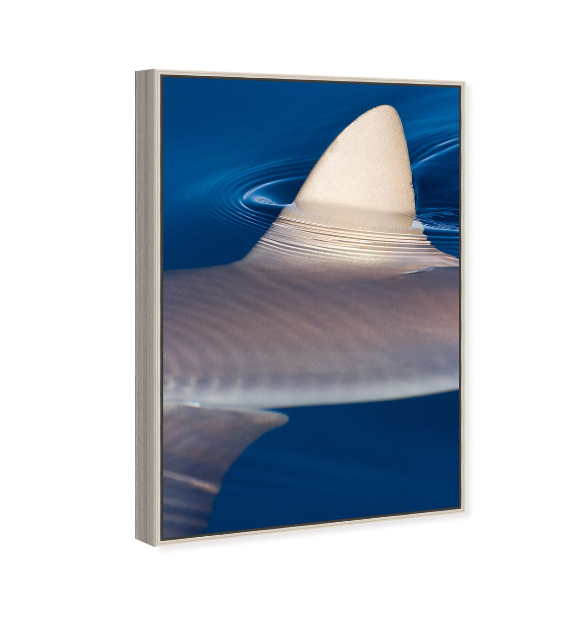 36x54/Framed Canvas/CFL