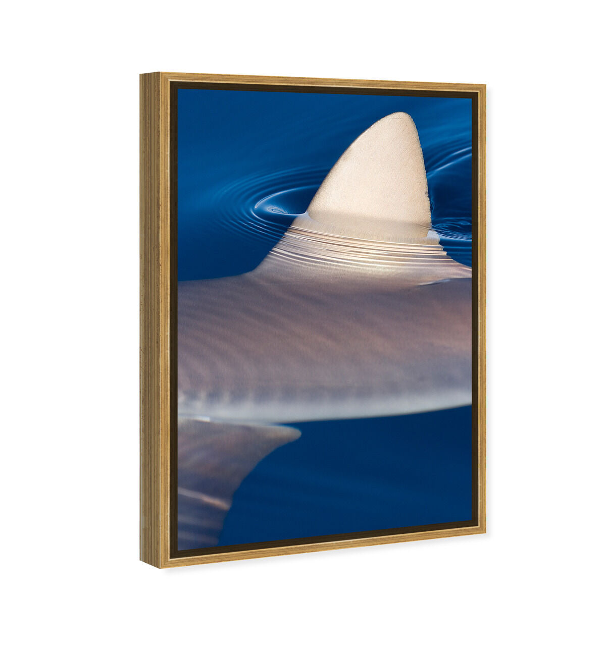 36x54/Framed Canvas/PSGLD