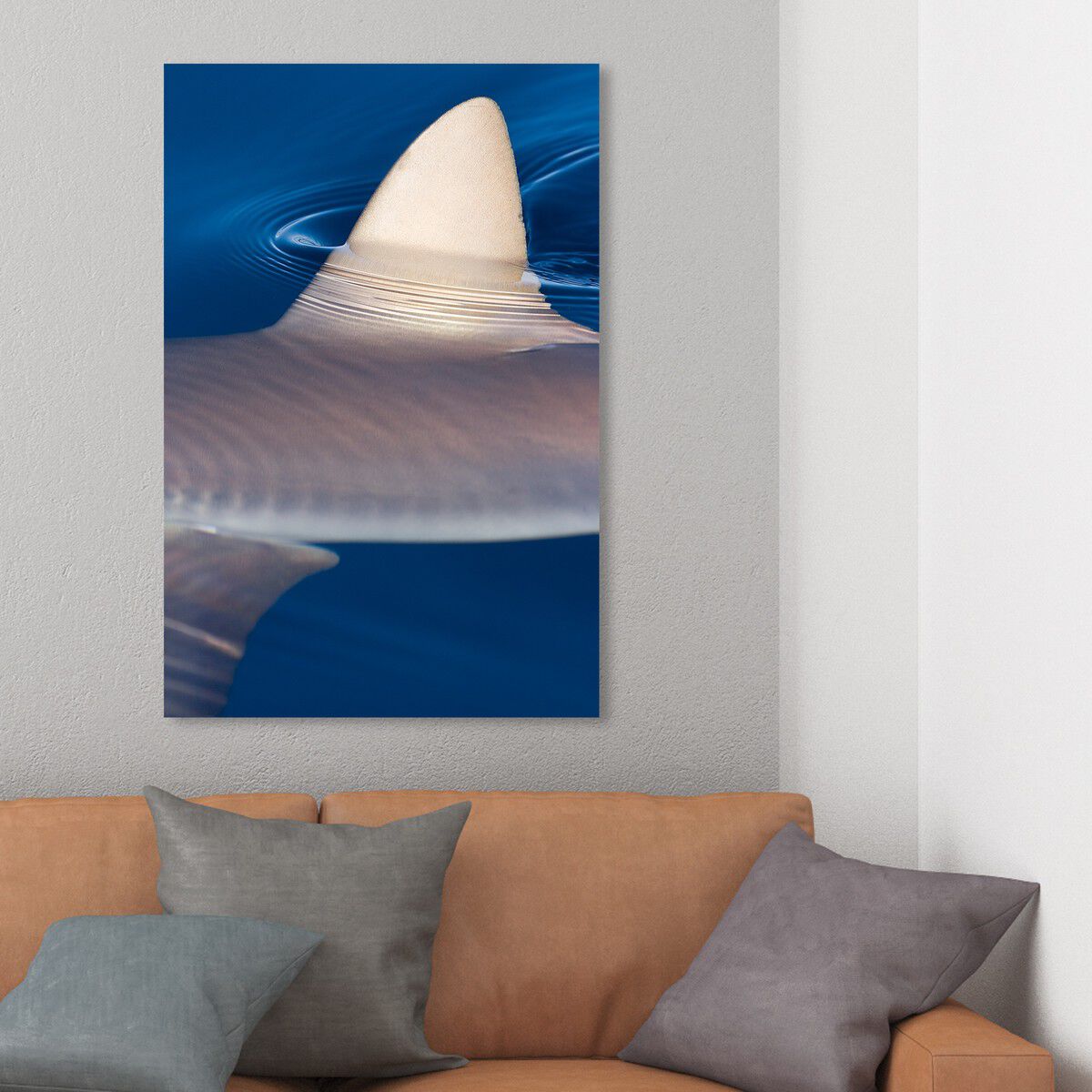 36x54/Canvas/XHD