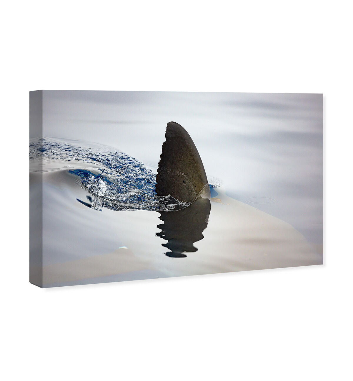 54x36/Canvas/XHD