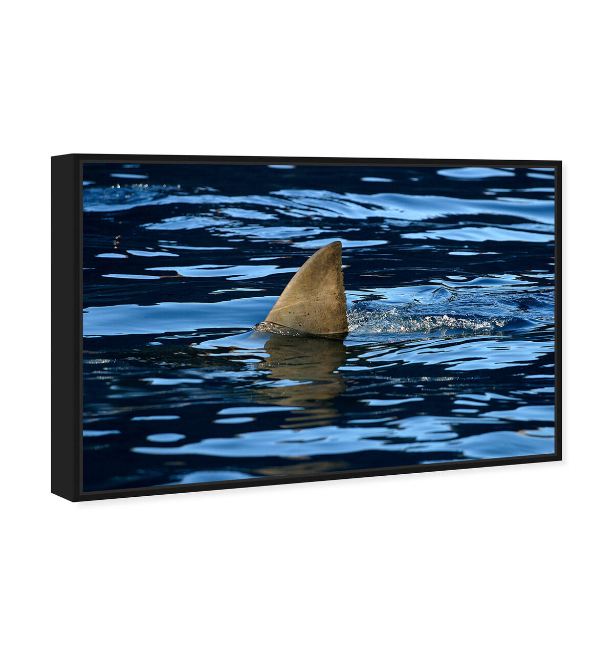 54x36/Framed Canvas/BFL