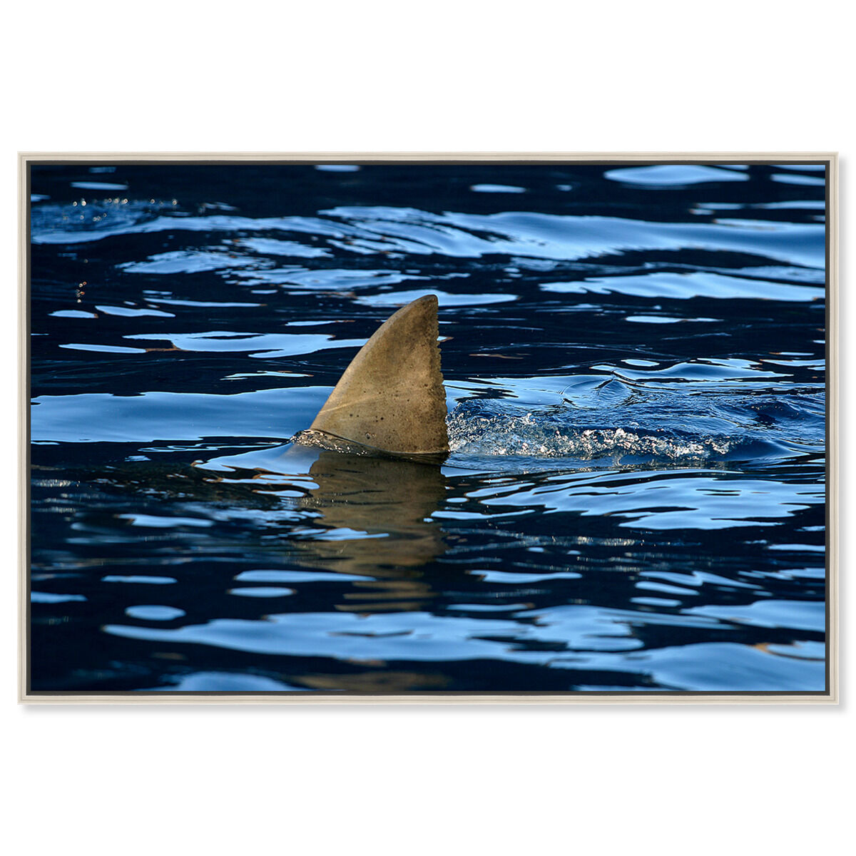 54x36/Framed Canvas/CFL