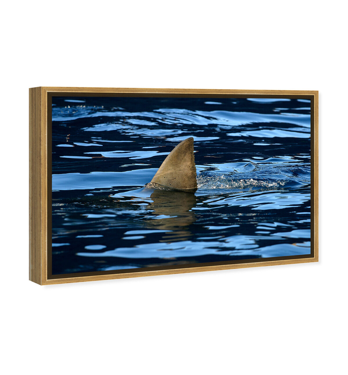 54x36/Framed Canvas/PSGLD