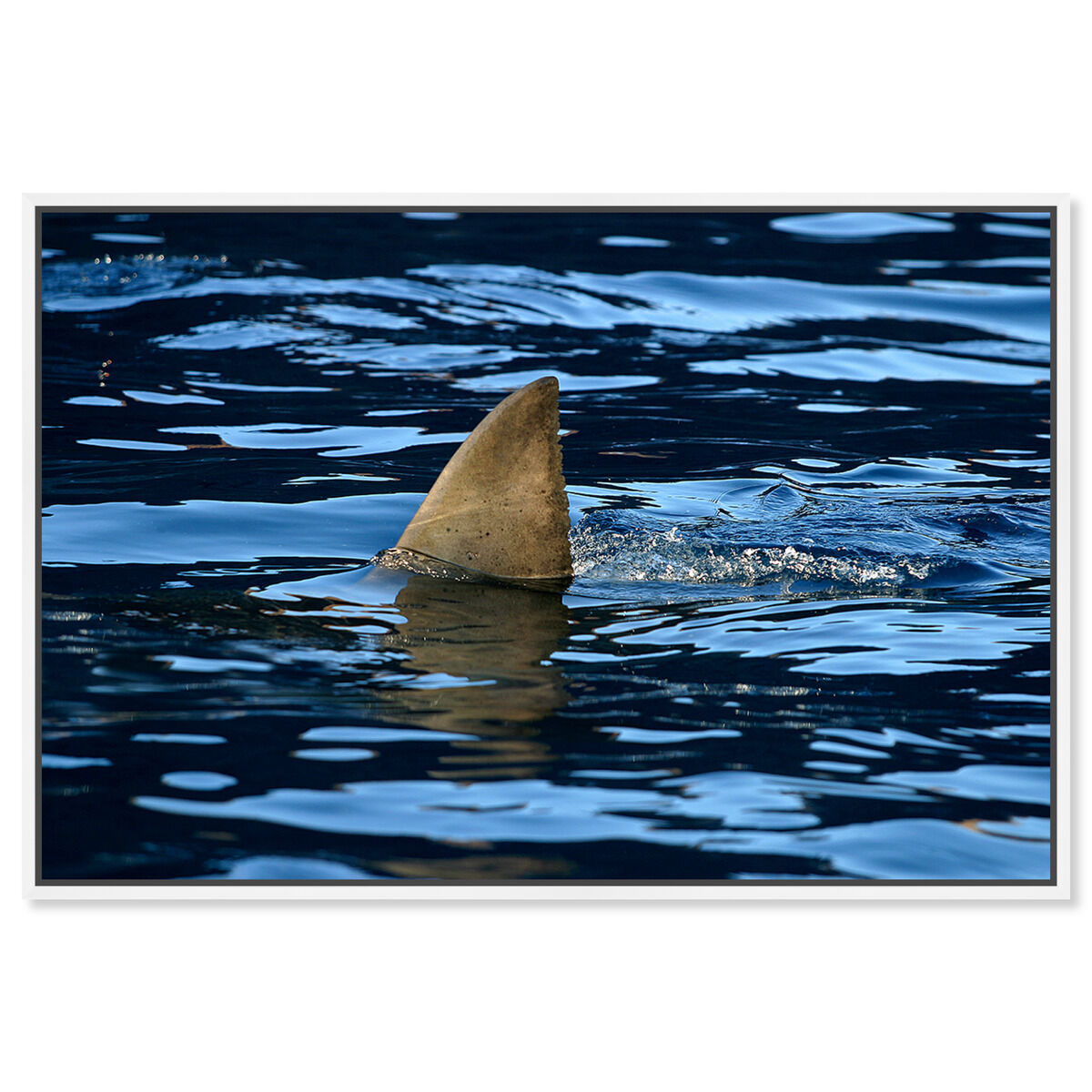 54x36/Framed Canvas/WFL