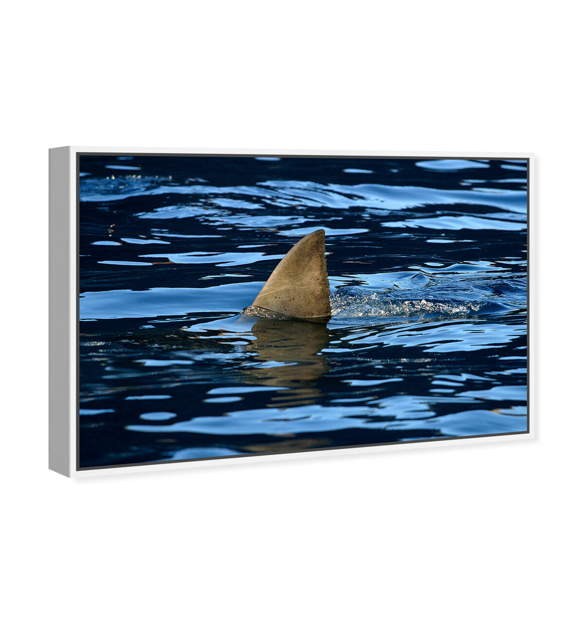 54x36/Framed Canvas/WFL