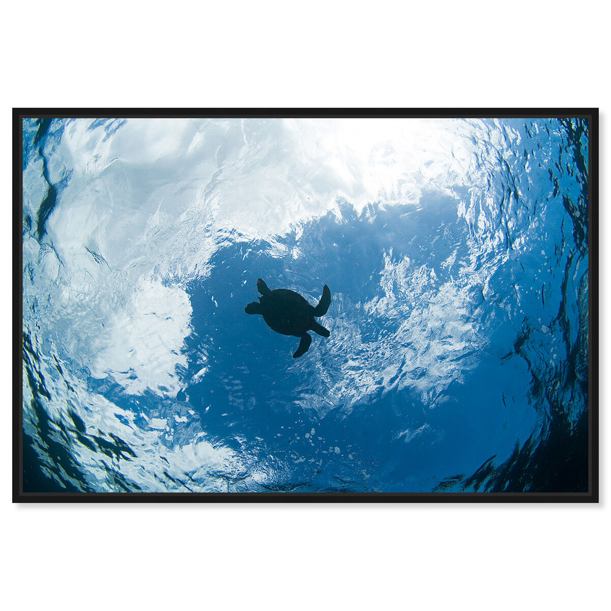 54x36/Framed Canvas/BFL