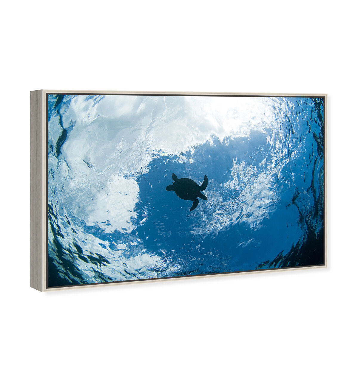 54x36/Framed Canvas/CFL