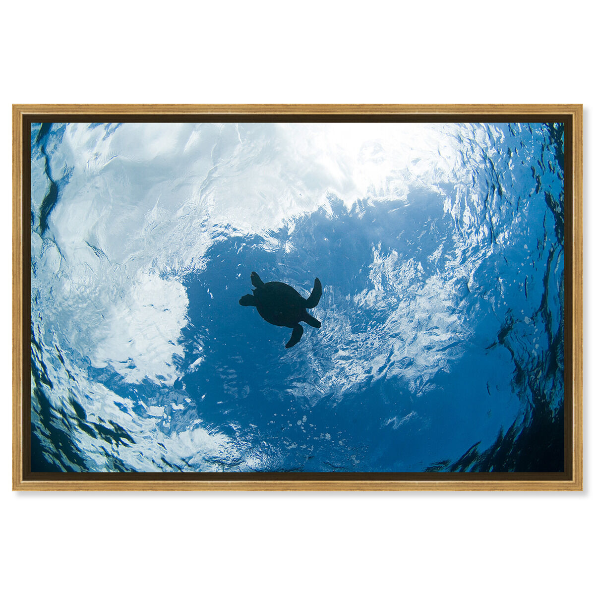 54x36/Framed Canvas/PSGLD