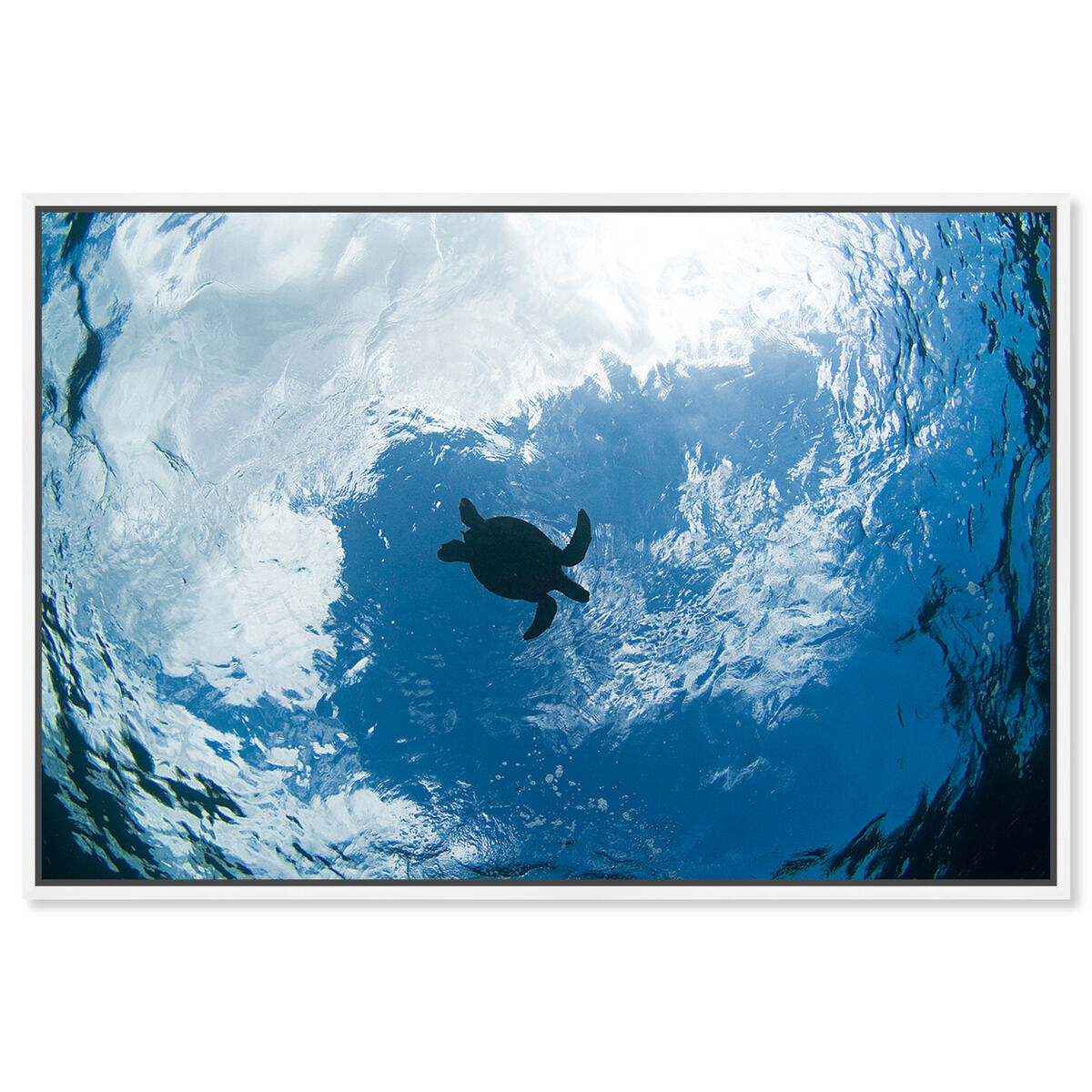 54x36/Framed Canvas/WFL