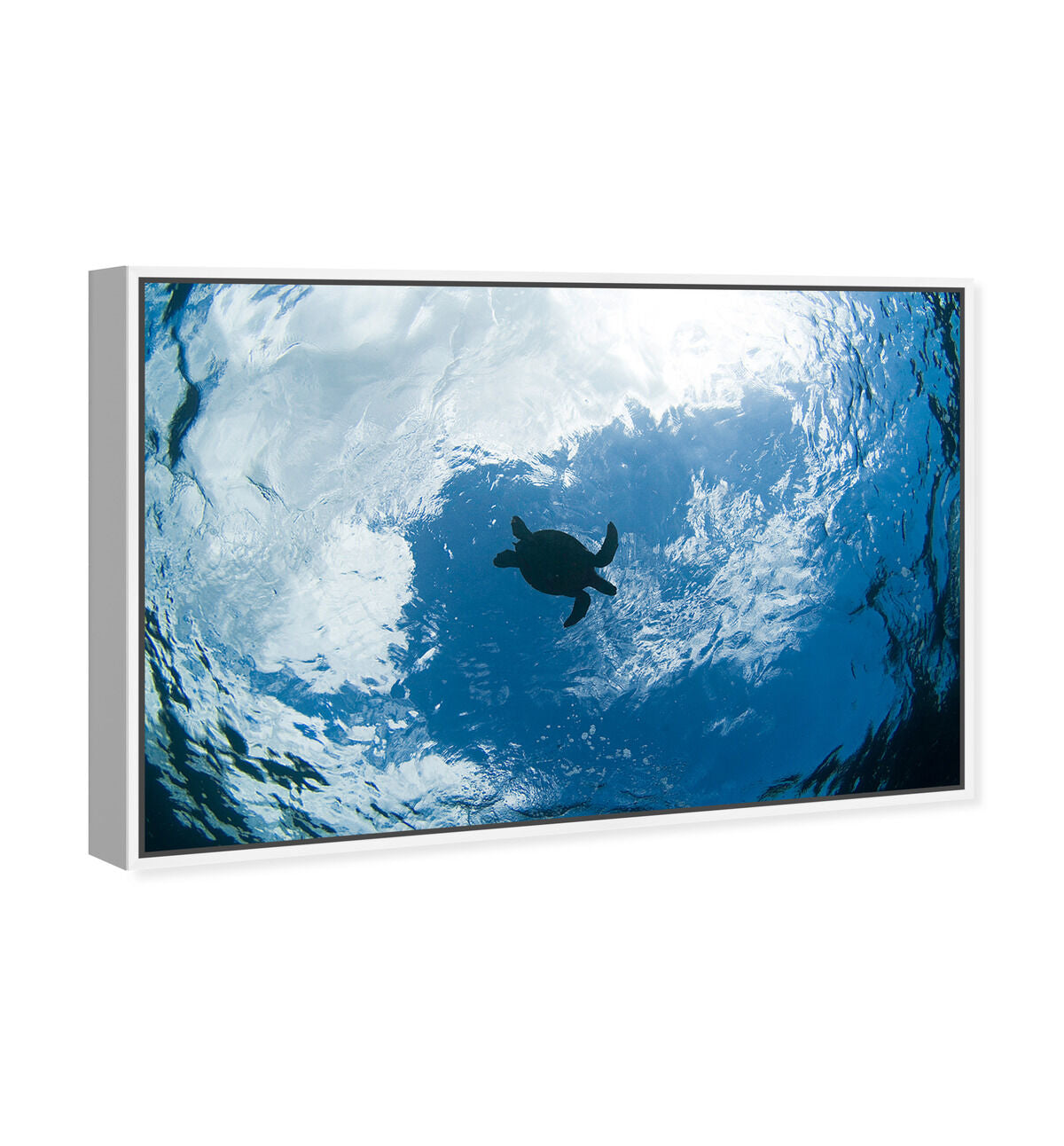 54x36/Framed Canvas/WFL