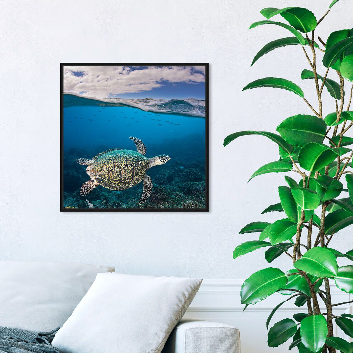 40x40/Framed Canvas/BFL